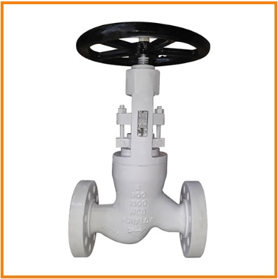 Globe Valve